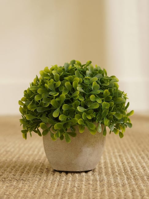 Pure Home and Living Green Plastic Potted Plants-picture-28