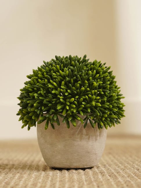 Pure Home and Living Green Plastic Potted Plants-picture-33