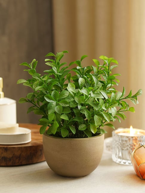 Pure Home and Living Green Plastic Potted Plants-picture-24