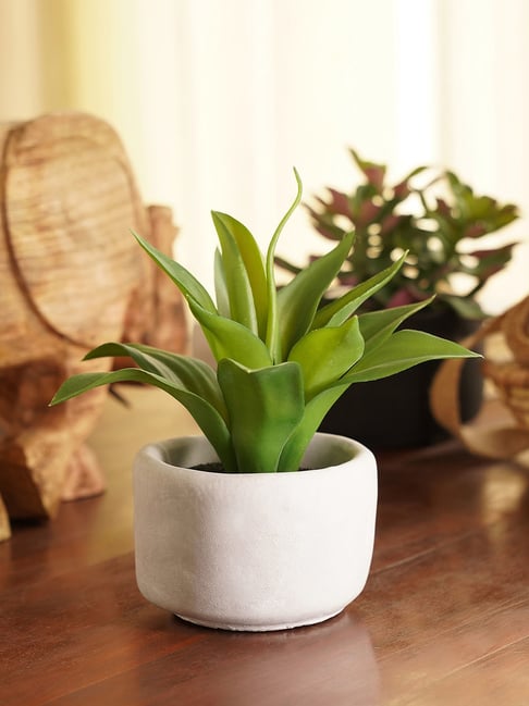 Pure Home and Living Green Plastic Potted Plants-picture-31