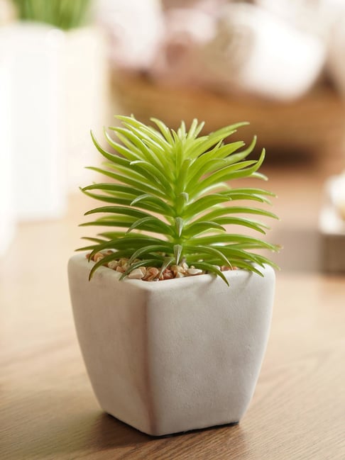 Pure Home and Living Green Plastic Potted Plants-picture-23