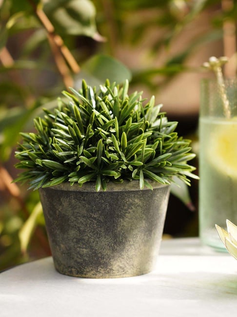 Pure Home and Living Green Plastic Artificial Rosemary With Pot-picture-20