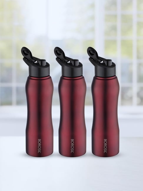 Buy Borosil Water Bottle with Leakproof Set of (Maroon, 1000 ml