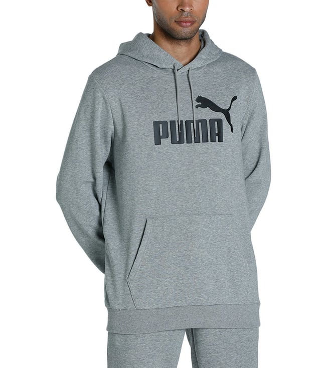 Puma Grey Essentials Logo Regular Fit Hoodie