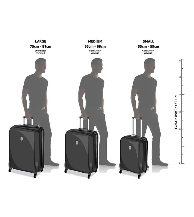 Buy Samsonite Matte Black Straren Spinner 55 Checked Luggage for Men