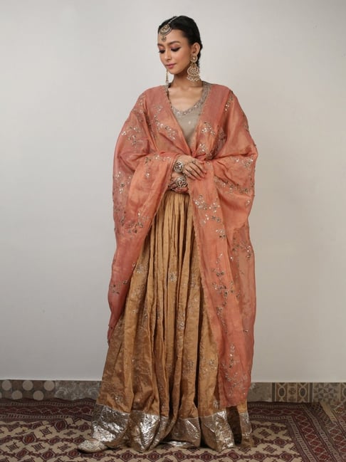 Rhua Beige & Brown Antarang Rysa Lehenga with Blouse and Dupatta-picture-29