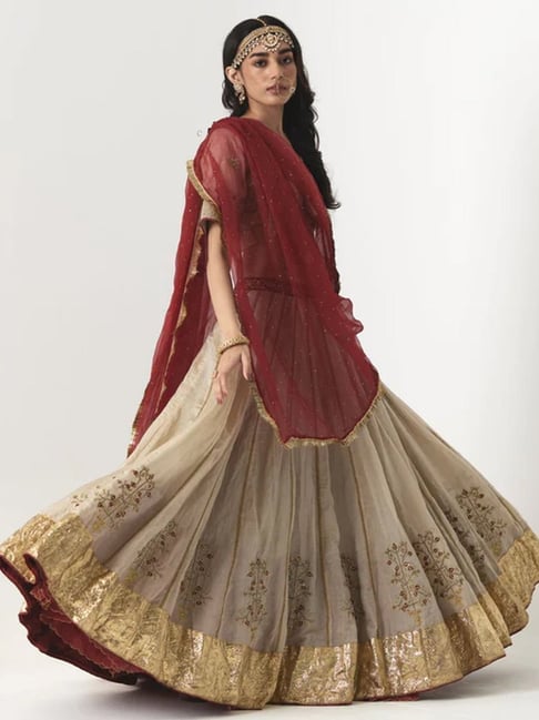Rhua Soft Gold & Red Kashvi Banarasi Hand Embroidered Silk Tissue Lehenga and Blouse-picture-35