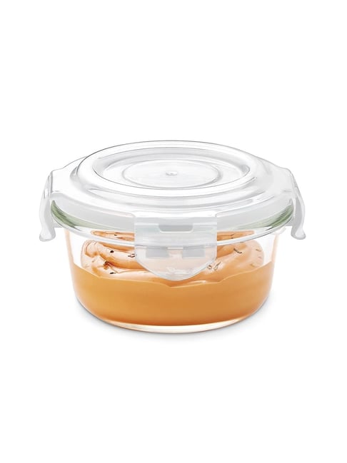 Borosil Transparent Glass Storage Container-picture-46