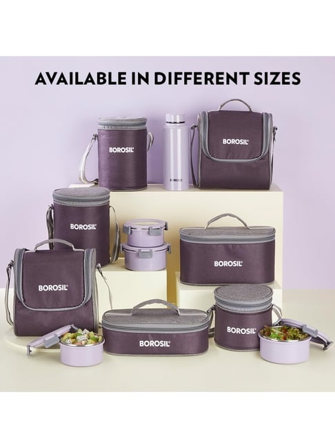 Buy Borosil Stainless Steel Lavender Lunch Boxes with ( Set of 2