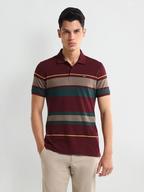 Arrow Red Regular fit Stripes Polo T-Shirt