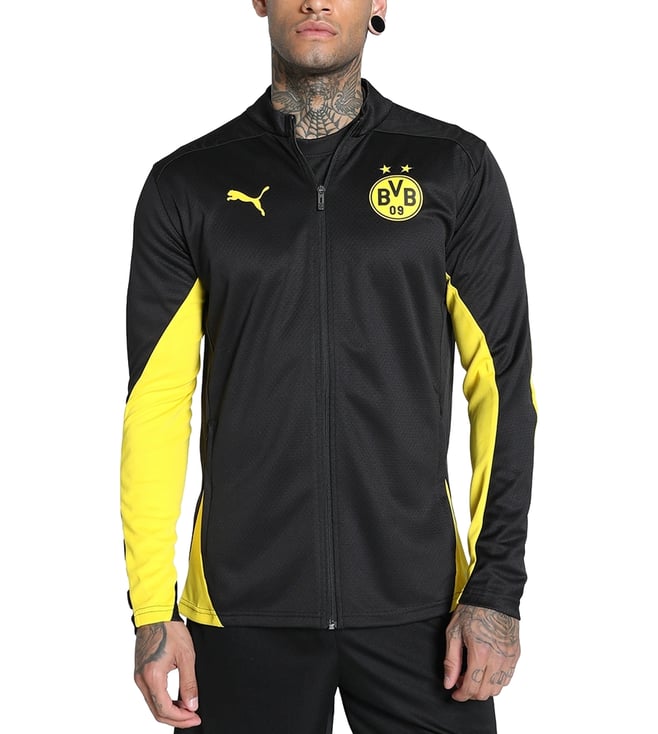 Bvb training jacket online