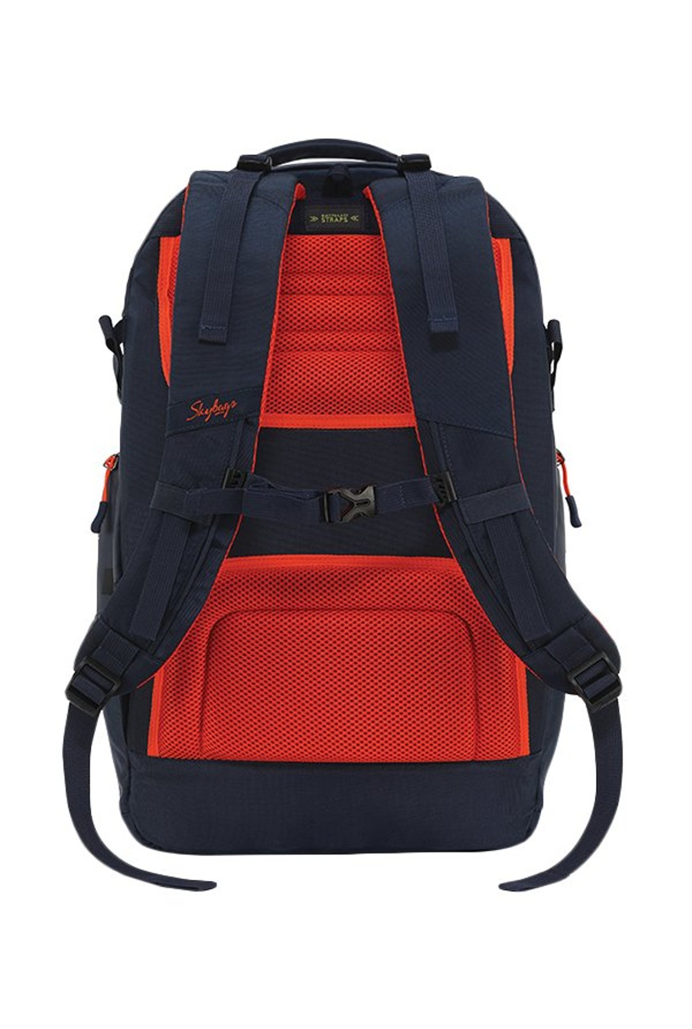 skybags aether 32 weekender blue