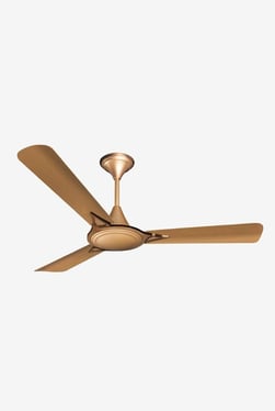 Crompton Fans Price List In India Buy Best Crompton