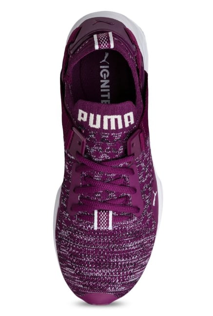 Puma ignite clearance evoknit purple