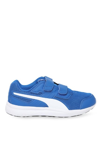 puma velcro shoes india