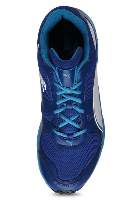 puma true blue