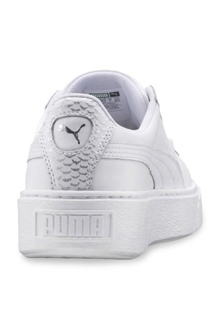 puma basket ocean puma basket ocean
