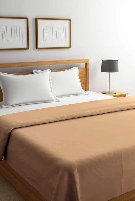 Buy Portico New York Light Brown Solid Cotton Double Duvet Cover