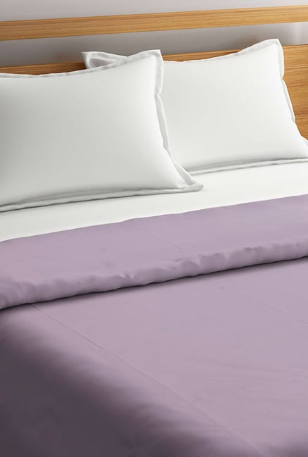 Buy Portico New York Purple Solid Cotton Double Duvet Cover