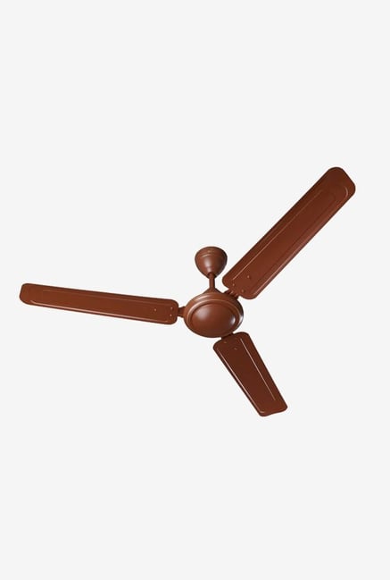 fans online