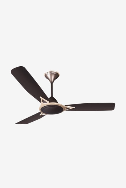 Buy Crompton Aggnus Primus 1200mm Ceiling Fan Bakers Brown