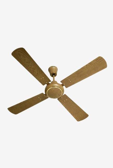 Buy Havells Woodster 1200 Mm 4 Blades Ceiling Fan Oak Online At