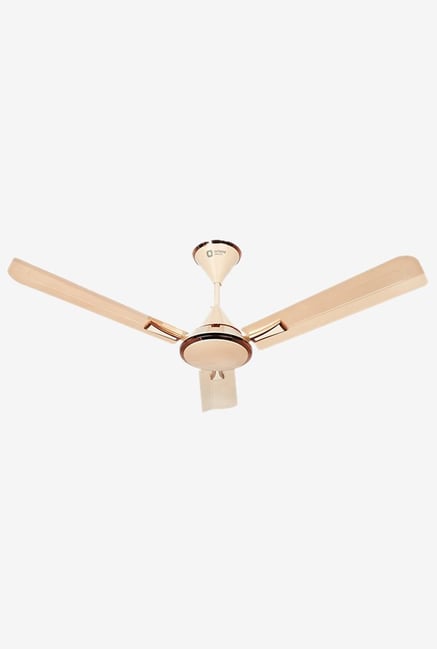 Buy Orient Adena Decor 1200 Mm 3 Blades Ceiling Fan Online At Best