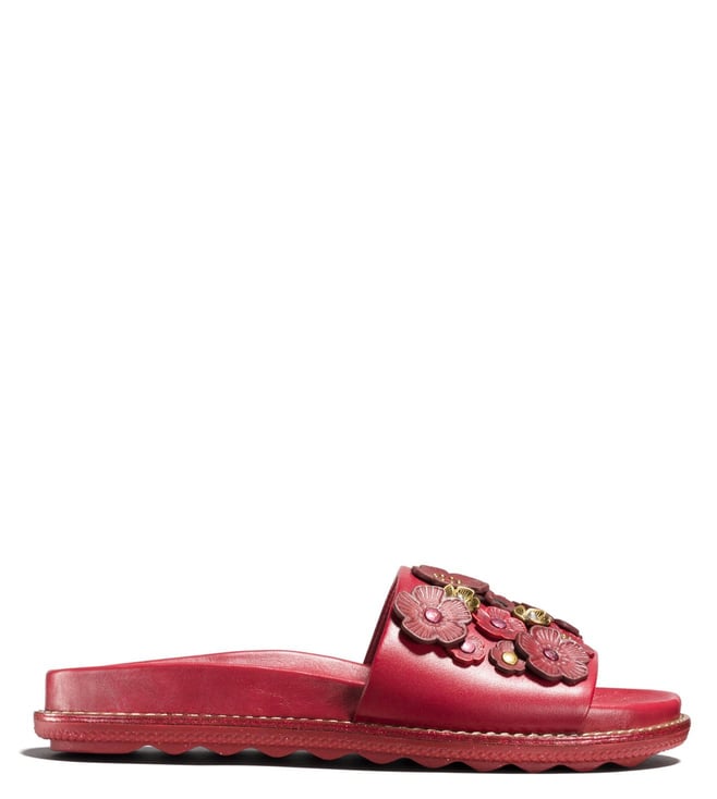 coach tea rose slides