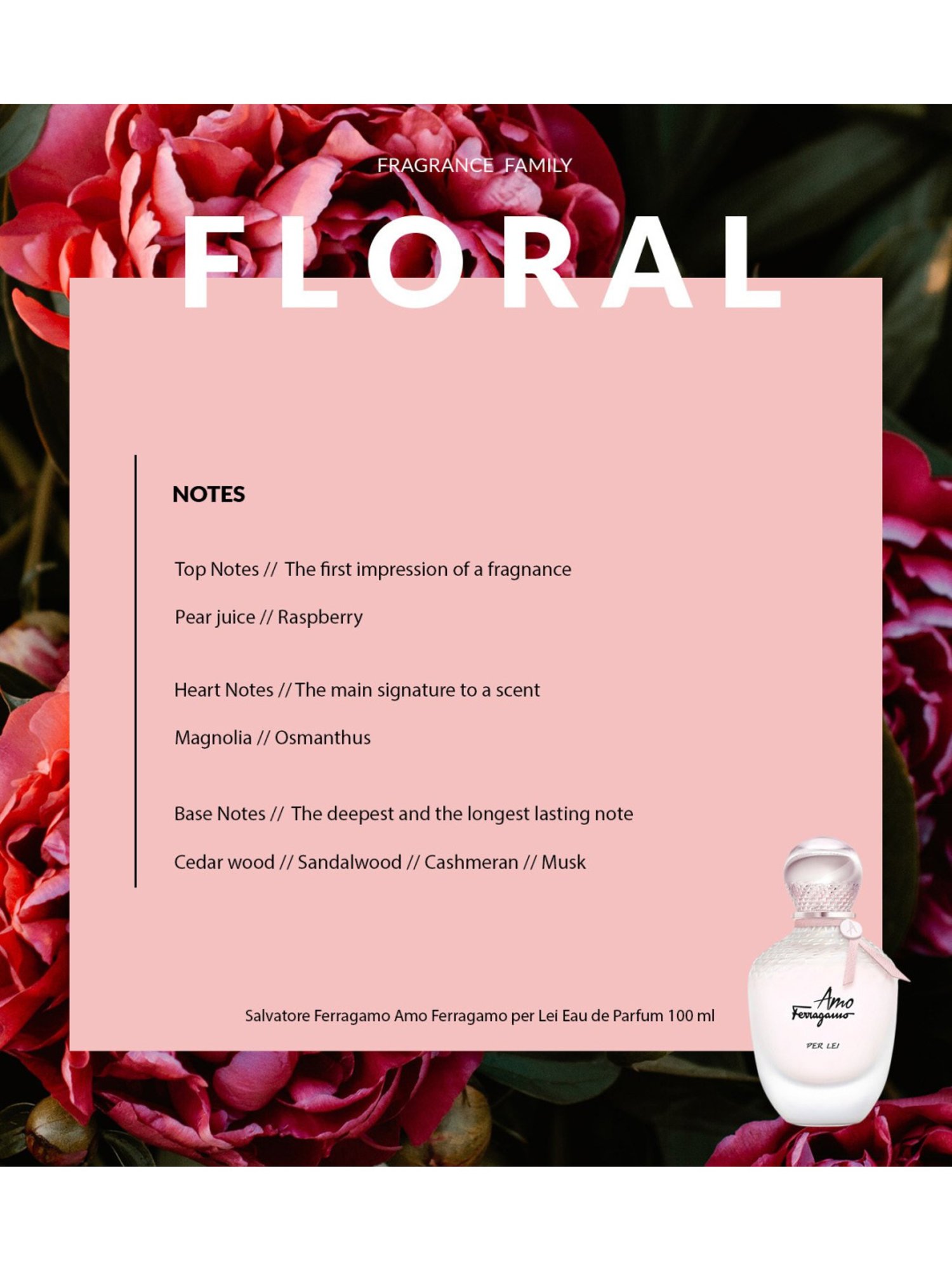 Buy Salvatore Ferragamo Amo Ferragamo per Lei Eau de Parfum