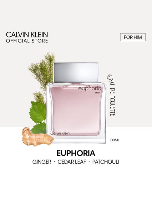Buy Calvin Klein Euphoria Eau de Toilette for Men 100 ml at Best