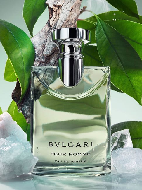 Bvlgari Pour Homme Eau de Parfum for Men 50 ml