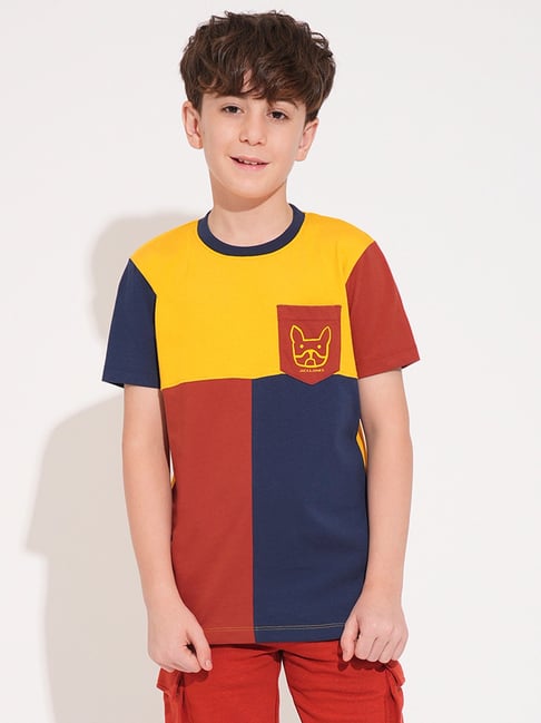Jack & Jones Junior Boys Multicolor Cotton Color Block T-Shirt-picture-39