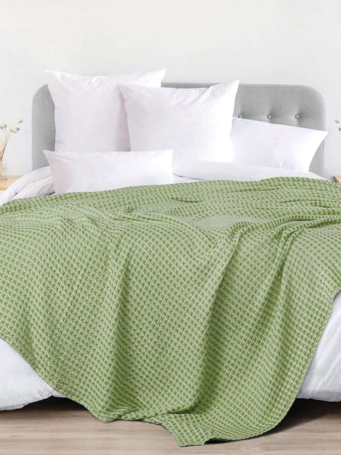 Urban Space Sage Green Cotton 150 GSM Ac Room Double Bed Blanket
