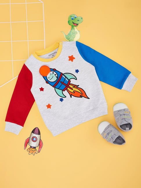 Pantaloons Baby Boys Lily White Printed Sweatshirt