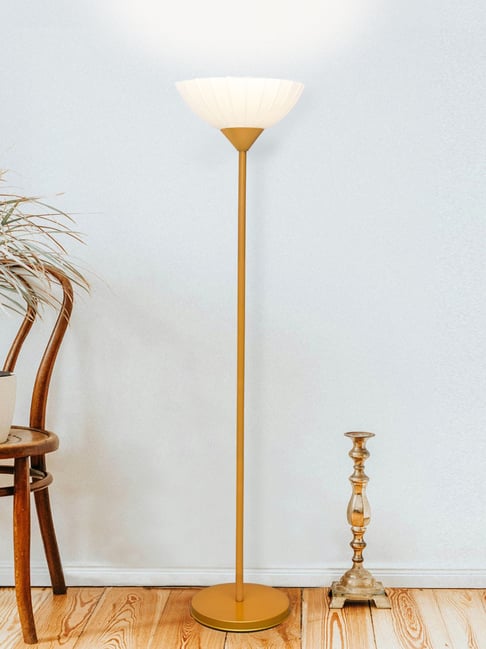 Homesake Sky Ribbed Dome Modern Floor Lamp with Gold Acrylic Shade