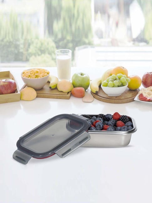 Peggy Oliver Grey & Silver 316 Stainless Steel Rectangular Food Container With Classic Lid (1.78 L)-picture-37