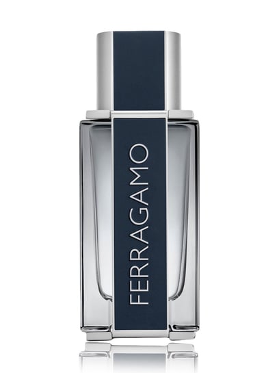 Buy Salvatore Ferragamo Eau de Toilette 50 ml for Men for Men