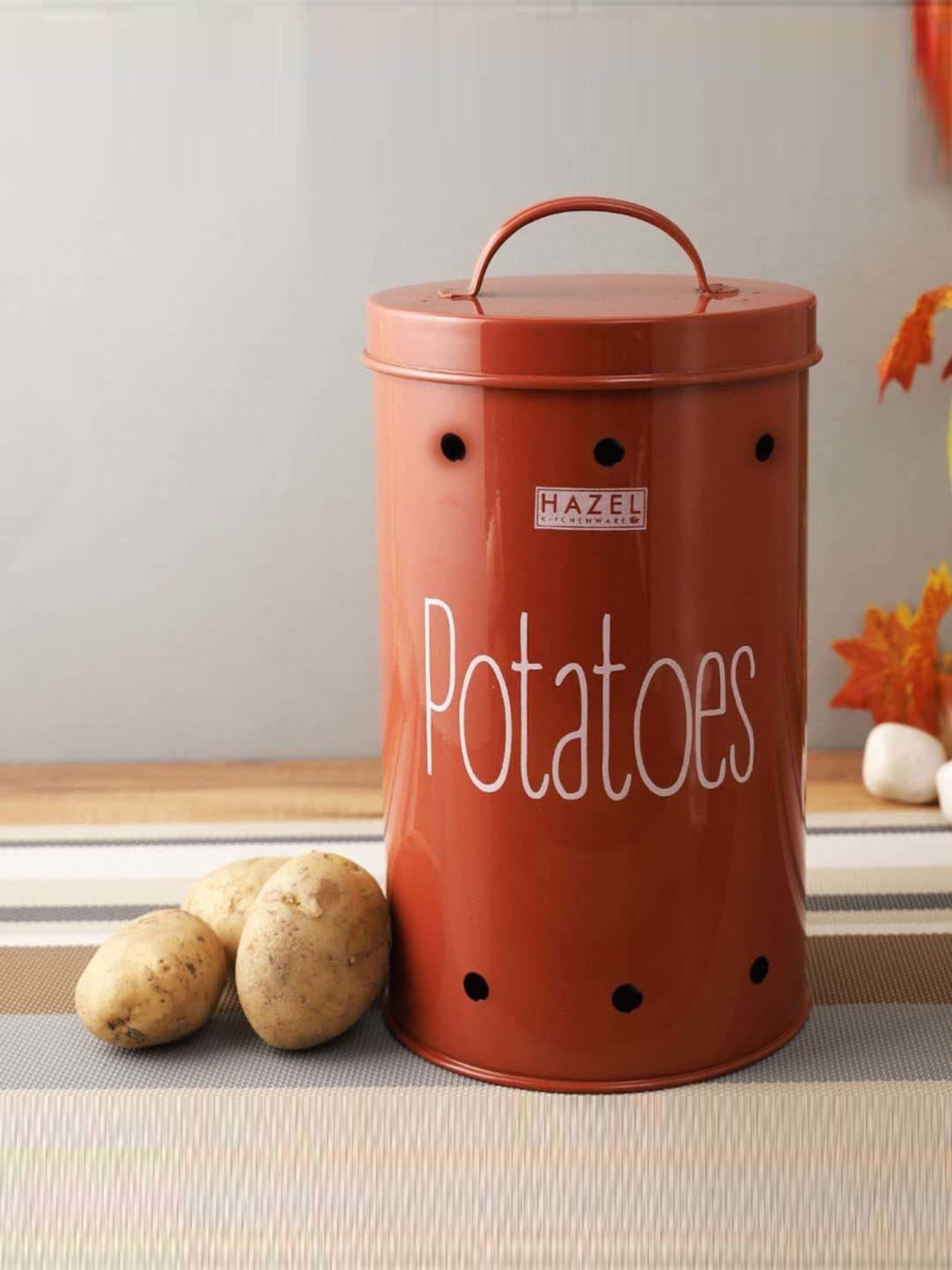Buy HAZEL Red Galvanized Metal Potato Storage Container 2.2L at Best Price Tata CLiQ