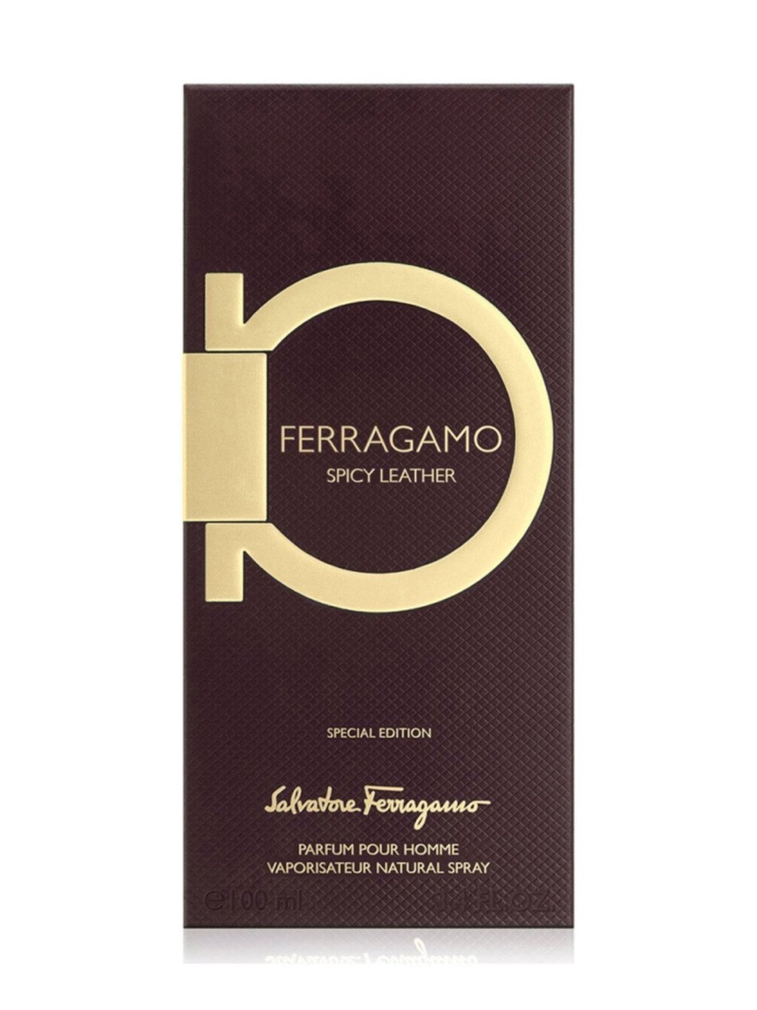 Buy Salvatore Ferragamo Spicy Leather Parfum for Men - 100 ml at