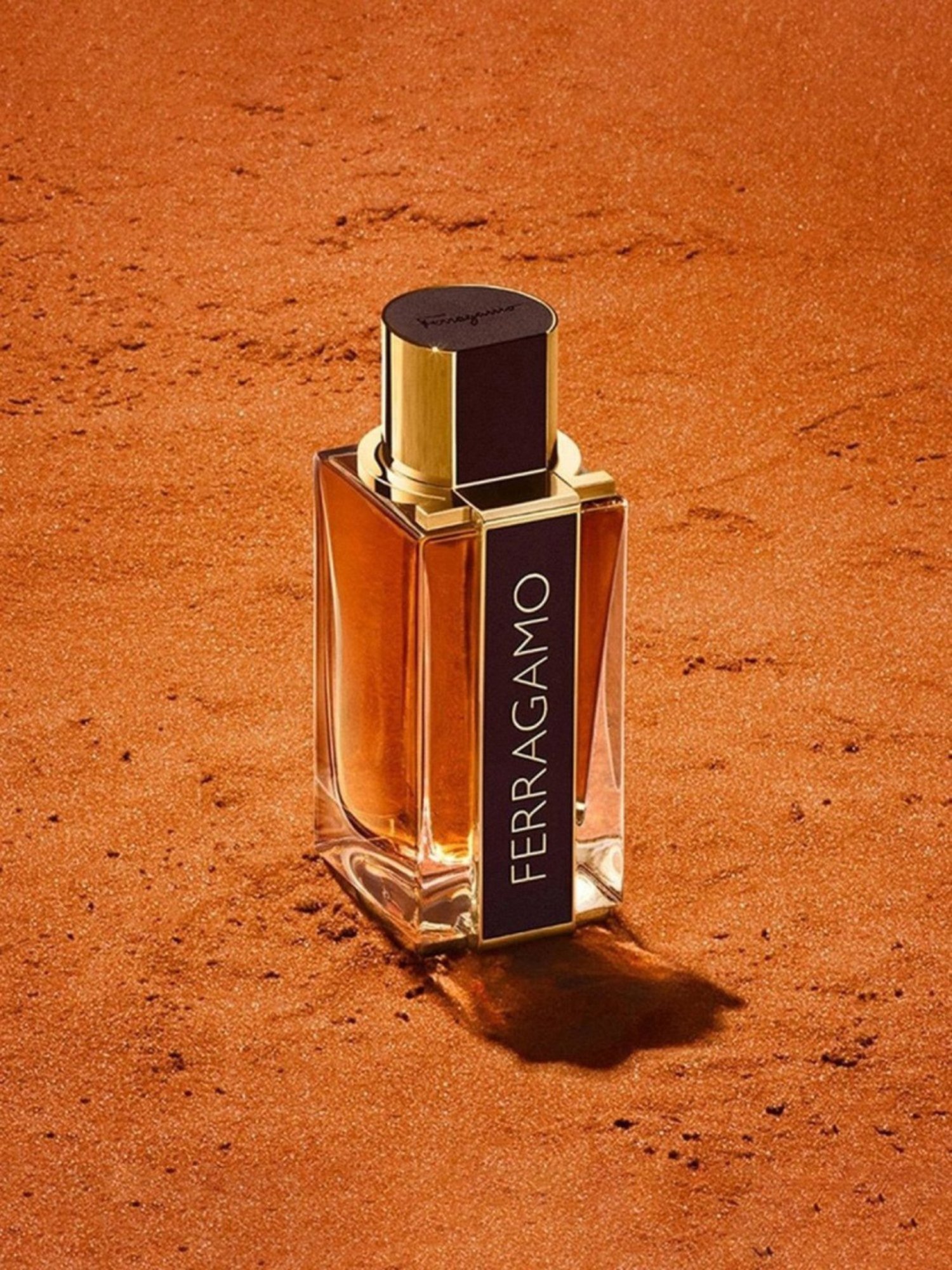 Buy Salvatore Ferragamo Spicy Leather Parfum for Men - 100 ml at