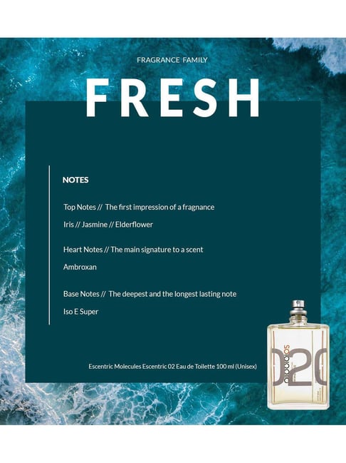 Escentric Molecules Escentric 02 Eau de Toilette 100 ml (Unisex)