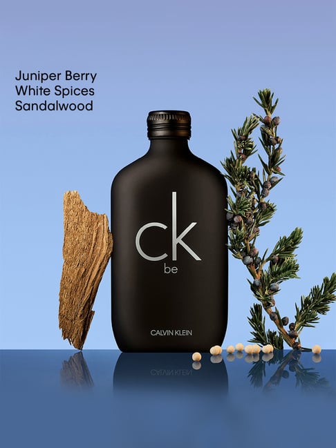 Buy Calvin Klein CK Be Eau de Toilette 200 ml at Best Price