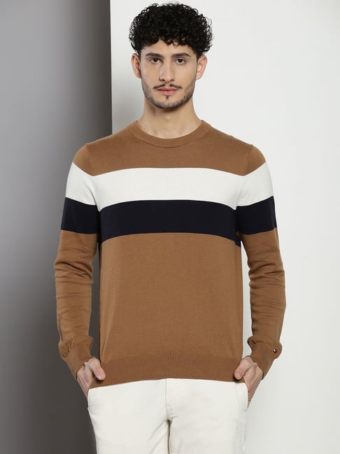 Tommy Hilfiger Brown Cotton Regular Fit Colorblock Sweatshirt-picture-21