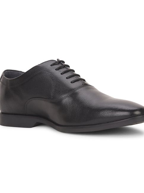 Buy Hush Puppies Men Winter Black Shoes at Best Price Tata Cliq
