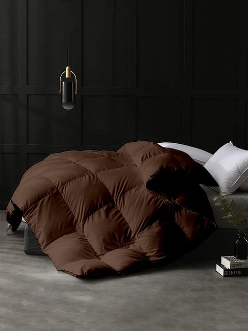 Razzai Brown Poly fill Basic Comforters