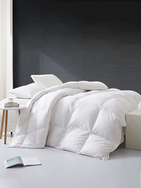 Razzai White Poly fill Basic Comforters