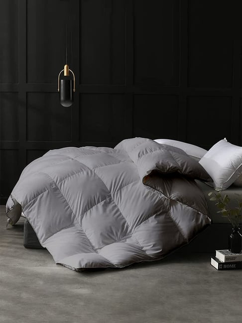 Razzai Silver Poly fill Basic Comforters