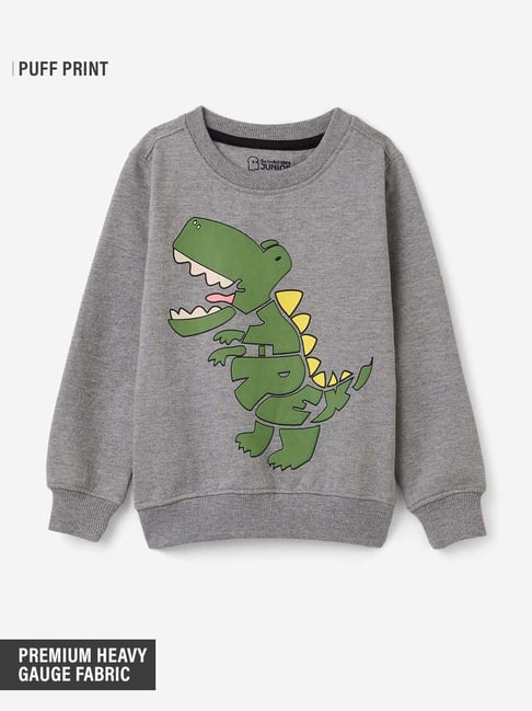 The Souled Store Boys Grey & Green Character Based Full Sleeves Sweatshirt-picture-32