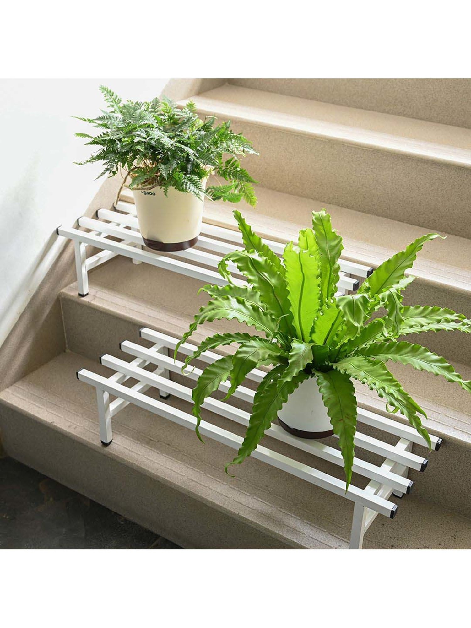 Buy Ugaoo White Metal Elevate Square Tube Plant Stand - Set of 2