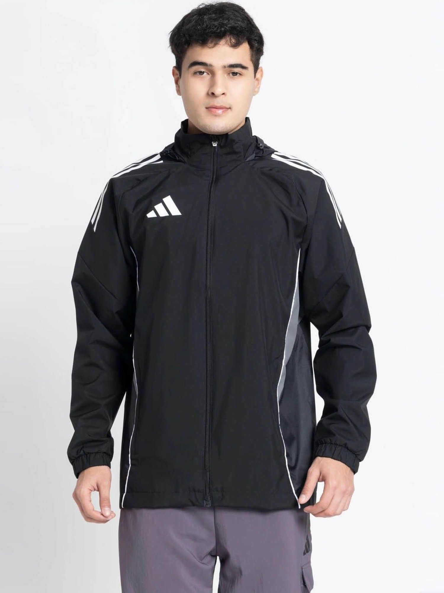 MP000000025557199_1348Wx2000H_